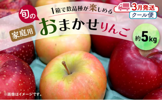 りんご 【3月クール便発送】 家庭用 旬のりんご 品種おまかせ 約 5kg 2品種～4品種【 弘前市産 青森りんご 】