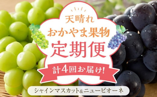 フルーツ 定期便 2025年 先行予約 天晴れ おかやま 果物 定期便 (2)  シャイン マスカット 3回／ ニュー ピオーネ 1回 合計4回お届け！ 岡山県産 国産 セット ギフト