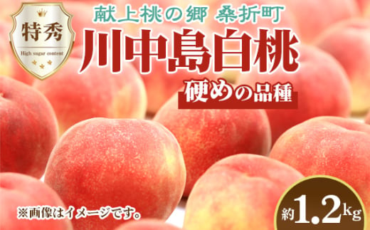 No.227 もも（川中島白桃）特秀　1.2kg　桑折町産　JAふくしま未来　桃 ／ モモ 果物 フルーツ 福島県 特産品