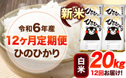 令和6年産 新米 【12ヶ月定期便】 白米 ひのひかり 20kg 《お申し込み月の翌月から出荷開始》 熊本県産 白米 精米 ひの 送料無料 熊本県 山江村 SDGs 米 コメ こめ 国産 1607359 - 熊本県山江村