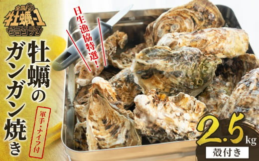 日生漁協特選！ガンガン焼きセット（殻付き2.5kg） 1655618 - 岡山県備前市