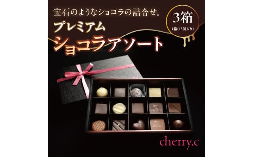 プレミアム ショコラ アソート15個【cherry.c】[ チョコレート スイーツ ギフト ] - 兵庫県芦屋市｜ふるさとチョイス - ふるさと納税 サイト