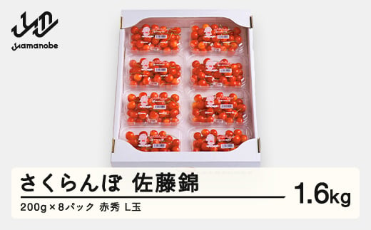 先行予約 さくらんぼ 佐藤錦 赤秀品 L玉 200g×8パック ご家庭用 2025年産 令和7年産 山形県産 mm-snplx1600