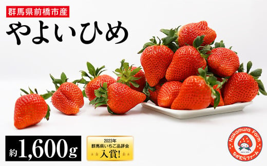 B-73　群馬県前橋市産いちご　『やよいひめ』　約1.6㎏(約1600g)【2023年群馬県いちご品評会入賞！】