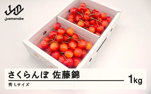 先行予約 さくらんぼ 佐藤錦 秀品 500g×2パック L玉 2025年産 令和7年産 山形県産 mm-snpsx1000