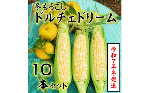 ＜令和7年11月より順次発行＞先行受付　朝採り「冬もろこし」「ドルチェドリーム」10本以上　約5キロ【1570054】