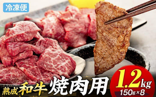 AH03-029 千葉県産和牛　長生熟成仕込　焼肉  1200g