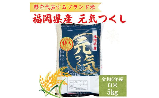 令和6年産 福岡県産 ブランド米「元気つくし」白米 5kg [a8255] 株式会社 ゼロプラス 【返礼品】添田町 ふるさと納税