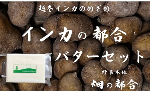 極甘じゃがいも「インカの都合」越冬インカのめざめじゃがバターセット[2025年3月以降にお届け] | 越冬 芋 いも イモ ジャガイモ 越冬野菜 有塩バター 墫乃字[020-79]