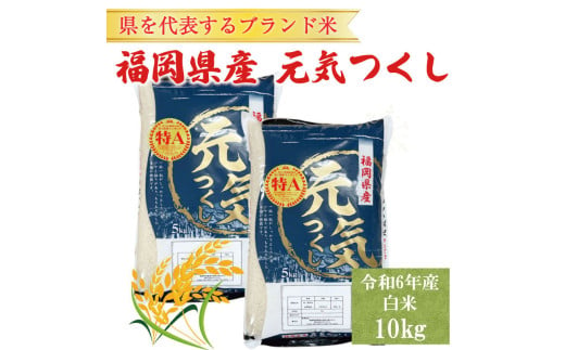 令和6年産 福岡県産 ブランド米「元気つくし」白米 10kg [a8257] 株式会社 ゼロプラス 【返礼品】添田町 ふるさと納税