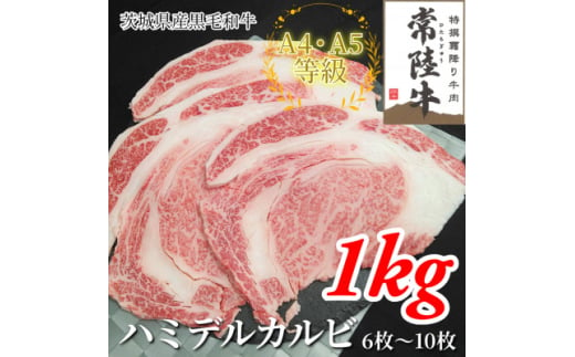 ＜常陸牛＞ハミデルカルビ 1kg(6～10枚)【1560468】