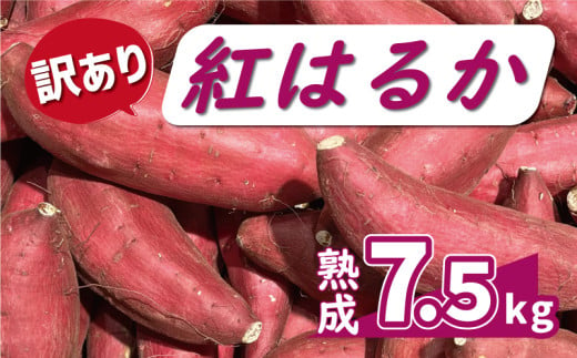 訳あり 熟成 紅はるか 7.5kg サイズ混合 10000円 サツマイモ 焼き芋 干し芋 丸干し 冷凍焼き芋 冷やし焼き芋 やきいも 蜜芋 ほしいも スイートポテト フライドポテト いも天 サイズミックス 甘い ねっとり しっとり ほくほく 生芋 新芋 芋 いも 甘藷 べにはるか スイーツ おかず さつまいも 国産 人気 糖度 産地直送 農家直送 数量限定 ミッチーのおみかん畑 愛南町 愛媛県