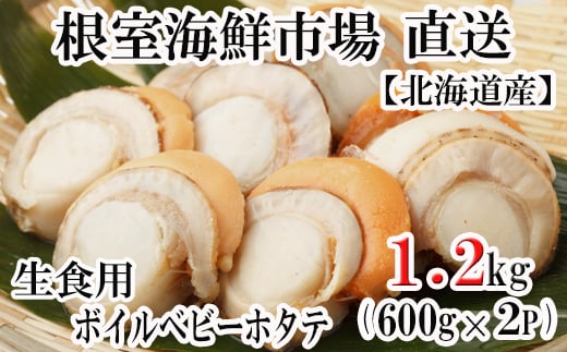 北海道根室市のふるさと納税 A-11115  ＼漁業者応援品／ボイルベビーほたて(生食用)600g×2P(60～120玉)