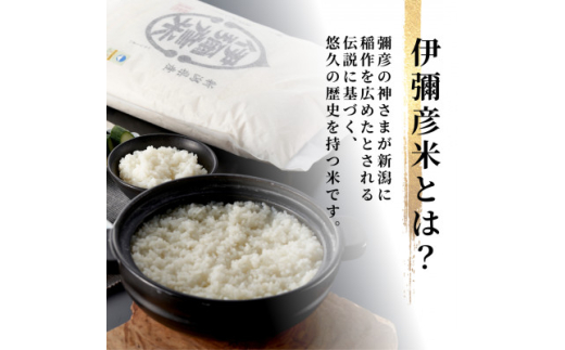 新潟県弥彦村のふるさと納税 ＜新米受付＞令和6年産 特別栽培米コシヒカリ「伊彌彦米」5kg×1袋 新潟県産 精米 弥彦村産【1106253】