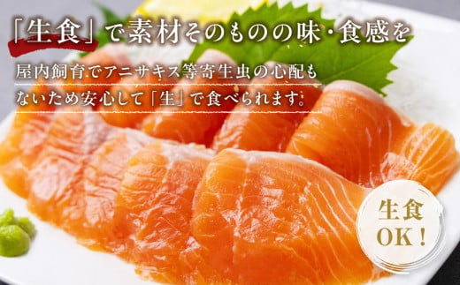 鳥取県琴浦町のふるさと納税 サーモン 琴浦 グランサーモン 1kg ( 200g × 5パック ) 【 刺身 生食可 国産 サーモン 養殖 陸上養殖 サーモン 刺し身 さしみ 小分け 真空 冷凍 サーモン 鮭 サケ 魚 さかな グランサーモン 海鮮 魚介類 養殖サーモン 鳥取 人気 おすすめ 国産サーモン 琴浦町 】