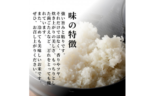 新潟県弥彦村のふるさと納税 ＜新米受付＞令和6年産 特別栽培米コシヒカリ「伊彌彦米」5kg×1袋 新潟県産 精米 弥彦村産【1106253】