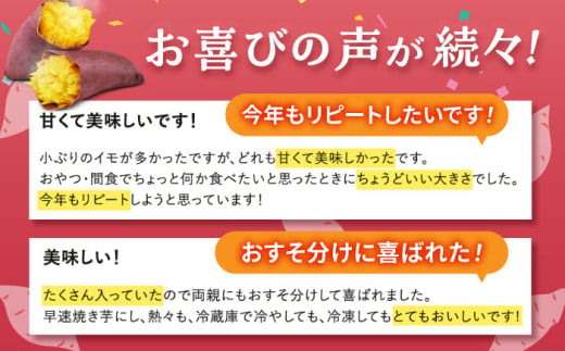 年内発送は12月20日ご入金分まで！】さつまいも 紅はるか or シルクスイート 蜜芋 5kg 【合同会社 福福堂】 サツマイモ 濃厚 甘味 熊本県  特産品 芋 熟成 訳あり [ZCN013] - 熊本県山鹿市｜ふるさとチョイス - ふるさと納税サイト