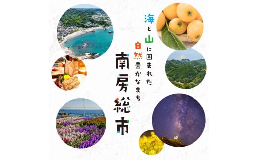 千葉県南房総市のふるさと納税 【先行受付 2025年9月中旬～11月中旬発送予定】『おおまさり 生落花生 1kg』農家直送！ mi0039-0006 【落花生 ピーナッツ 殻付き 千葉 おつまみ 大粒】