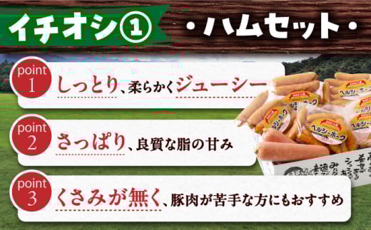  長崎和牛 スイーツ フルーツ ハム 豚肉 ハンバーグ スライス 米 定期便