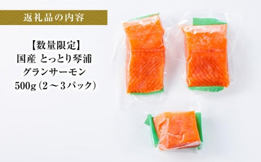 鳥取県琴浦町のふるさと納税 サーモン 琴浦 グランサーモン 500g ( 2-3パック ) 【 刺身 生食可 国産 サーモン 養殖 陸上養殖 サーモン 刺し身 さしみ 小分け 真空 冷凍 サーモン 鮭 サケ 魚 さかな グランサーモン 海鮮 魚介類 養殖サーモン 鳥取 人気 おすすめ 国産サーモン 琴浦町 】