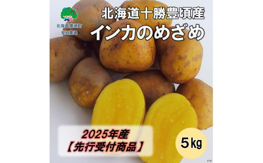 北海道十勝豊頃産 インカのめざめ5kg【2025年産】（先行受付）［安田農場］