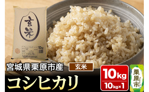 【令和6年産・玄米】宮城県栗原市産 コシヒカリ 10kg (10kg×1袋) 1519721 - 宮城県栗原市