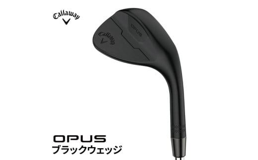 キャロウェイ OPUS ブラックウェッジ Dynamic Gold S200 48度(バウンス 10 S)