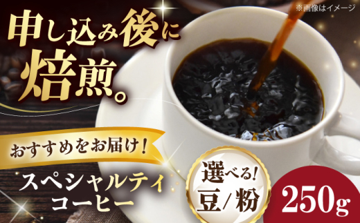 【豆】 スペシャルティコーヒー おすすめ1種 250g 珈琲 コーヒー豆 コーヒー粉 コーヒー ドリップ ドリップ珈琲 飲料 愛媛県大洲市/株式会社日珈 [AGCU025-2]