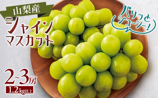 2025年発送＞シャインマスカット4～8房(1箱2.8kg以上)【1418659】 - 山梨県山梨市｜ふるさとチョイス - ふるさと納税サイト