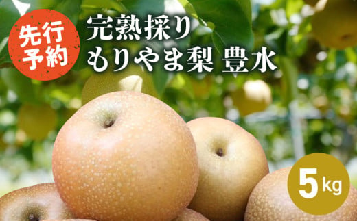 完熟採り　もりやま梨（豊水）５キロ【2025年9月中旬お届け】