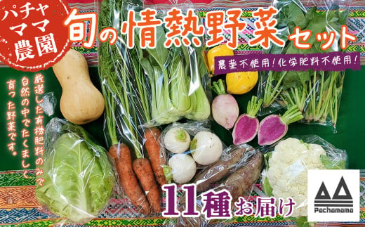 農園自慢の情熱野菜セット（11品）【野菜 詰め合わせ お任せ 季節物 セット 山芋 パセリ わさび菜 ポップコーン かぶ 人参 里芋 たまねぎ 玉ねぎ ルッコラ ほうれん草 春菊 大根 芽キャベツ レタス じゃがいも さつまいも とうもろこし そら豆 枝豆 パクチー ビーツ ほうれん草 キャベツ ピーマン なすトマト かぼちゃ】 