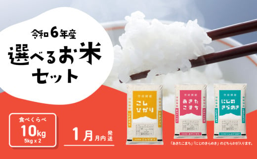 お米 食べ比べセット10kg 5kgx2袋 令和6年産 新米 1月発送 先行予約 こしひかり あきたこまち 食べ比べ 白米 精米 茨城県 八千代町  [SF033ya] - 茨城県八千代町｜ふるさとチョイス - ふるさと納税サイト