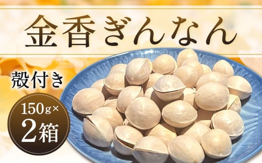 金香ぎんなん（殻付き）150g×2箱 合計300g 銀杏 ぎんなん 実 おつまみ おやつ