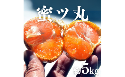 こだわり蜜柑 蜜ﾂ丸 厳選ﾌﾟﾚﾐｱﾑ ﾚｷﾞｭﾗｰ箱 約5kg