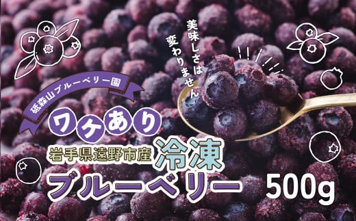 訳あり 冷凍 ブルーベリー 500g 岩手県 遠野市 遠野食工房蔵