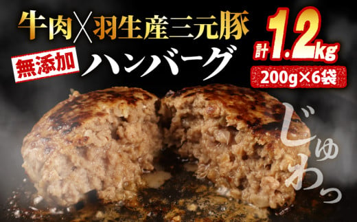 ハンバーグ 1.2kg 牛肉 豚肉 合挽き 冷凍 小分け 真空 個包装 大容量 大きめ 肉汁 たっぷり 保存料 不使用 無添加 淡路島 玉ねぎ ビーフ ポーク 牛 豚 肉 合いびき肉 挽肉 お弁当 おかず 惣菜 晩ごはん おつまみ お取り寄せ ごはんのお供 贅沢 ギフト お中元 お歳暮 贈り物 贈答