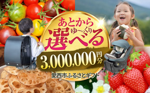 【あとから選べる】 愛知県愛西市ふるさとギフト 300万円分 日本酒 スイーツ シャンプー あとから ギフト [AECY020]