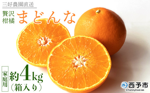 紅まどんなと同品種！＜贅沢柑橘「まどんな」家庭用 約4kg＞ 果物 フルーツ マドンナ みかん ミカン 蜜柑 オレンジ 愛媛果試第28号 柑橘 訳あり 産地直送 三好農園 西宇和 愛媛県 西予市【常温】 287533 - 愛媛県西予市