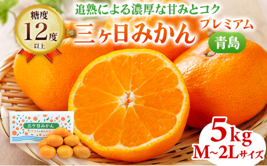[2025年12月下旬より順次発送]三ヶ日みかん プレミアム(青島5kg)光センサー選果 果物 柑橘 フルーツ デザート 食後 おやつ 糖度 以上 箱詰め 混載 濃厚 冬の味覚 静岡県産 産地直送 ビタミン 