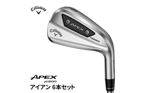 キャロウェイ APEX Ai200 アイアン 6本セット N.S.PRO 950GH neo(S)  1905142 - 千葉県柏市