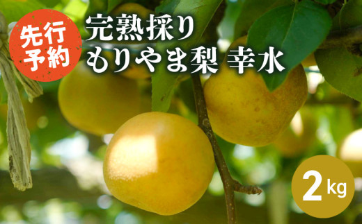 完熟採り　もりやま梨（幸水） ２キロ【2025年8月中旬お届け】生産農家直送 旬 果物 お取り寄せ 冷蔵 きたむら果樹園 守山市 1356203 - 滋賀県守山市