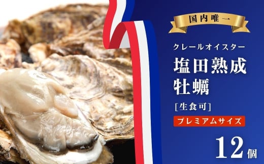 [今期分発送開始] 生食可 塩田熟成牡蠣 クレールオイスター プレミアムサイズ 12個 牡蠣 濃厚 熟成 養殖広島 大崎上島 瀬戸内 せとうち 離島 国産 かき カキ ギフト 送料無料 産地直送 ファームスズキ 498404 - 広島県大崎上島町