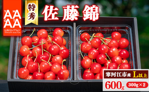 令和7年産 特秀品 さくらんぼ「 佐藤錦 」600g (300g×2パック) Lサイズ以上 2025年産 山形県産 山形産 【2025年6月上旬頃～下旬頃発送予定】　026-A-AF002 257171 - 山形県寒河江市