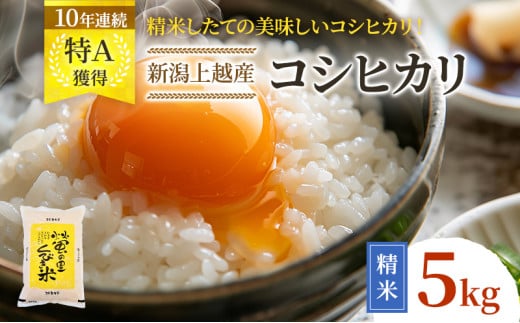 【令和6年産】新潟上越産コシヒカリ 5kg｜コシヒカリ 米 こしひかり こめ おすすめ 新潟 新潟県産 にいがた 上越 上越産 1044971 - 新潟県上越市