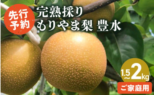 完熟採り　もりやま梨（豊水）家庭用訳あり　1.5キロ〜2キロ【2025年9月中旬お届け】ジューシー 完熟梨 箱詰め フルーツランド きたむら果樹園  1356204 - 滋賀県守山市