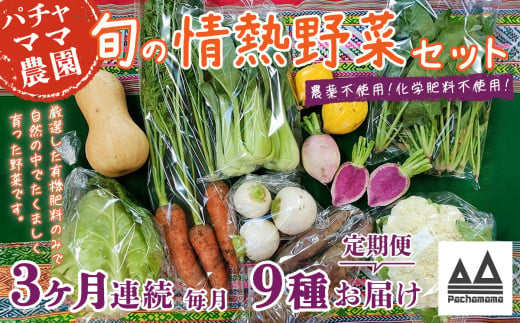 【3ヶ月連続お届け】農園自慢の情熱野菜セット（9品）【野菜 詰め合わせ お任せ 季節物 定期便 セット 山芋 パセリ わさび菜 ポップコーン かぶ 人参 里芋 たまねぎ 玉ねぎ ルッコラ ほうれん草 春菊 大根 芽キャベツ レタス じゃがいも さつまいも とうもろこし そら豆 枝豆 パクチー ビーツ ほうれん草 キャベツ ピーマン なすトマト かぼちゃ】