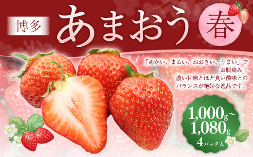 博多あまおう4パック(春) 250g〜270g×4パック 合計約1000g〜1080g あまおう いちご 苺 イチゴ フルーツ 果物 くだもの[2025年2月上旬-4月下旬発送予定]