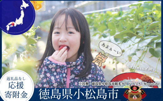 徳島県小松島市 【 返礼品なしの寄附】1000円 ～ 3,000,000円 応援寄附金 応援 支援 災害 子育て 1口 1000円から ふるさと納税 観光徳島 小松島 寄付 南海トラフ 巨大 地震 津波 避難 タワー  子育て世代 応援 プロジェクト 子供 応援寄付