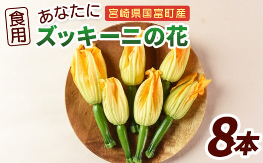 ＜あなたにズッキーニの花 8個＞翌月末迄に順次出荷【 野菜 青果 国産 料理 アレンジ 天ぷら 】