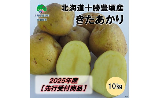 北海道十勝豊頃産 北あかり10kg【2025年産】（先行受付）［安田農場］